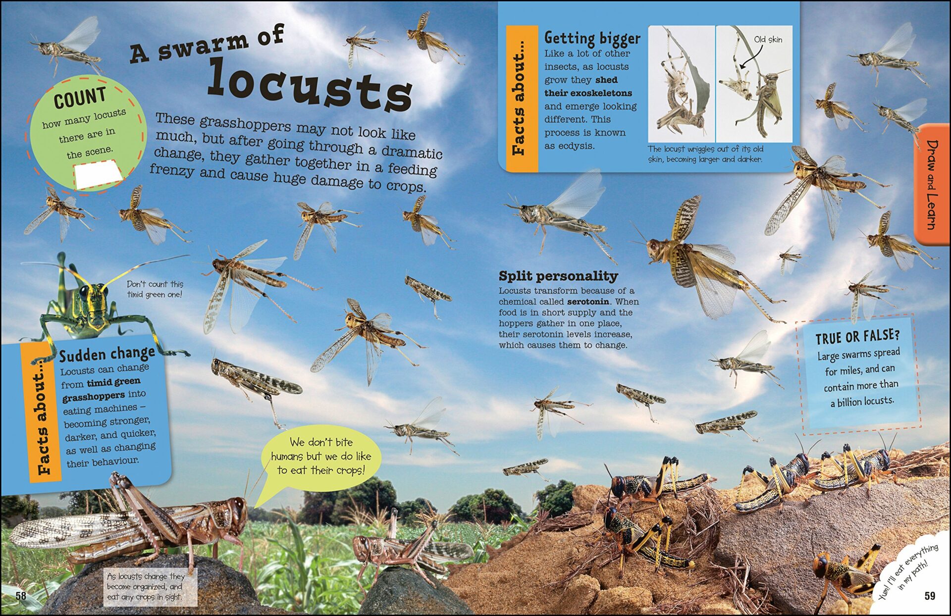Ultimate Factivity Bugs - Image 5